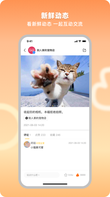 宠业家
