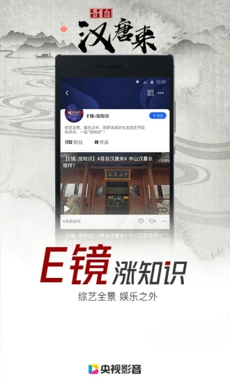央视影音大屏TV