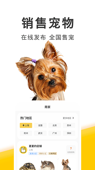 买只宠物平台