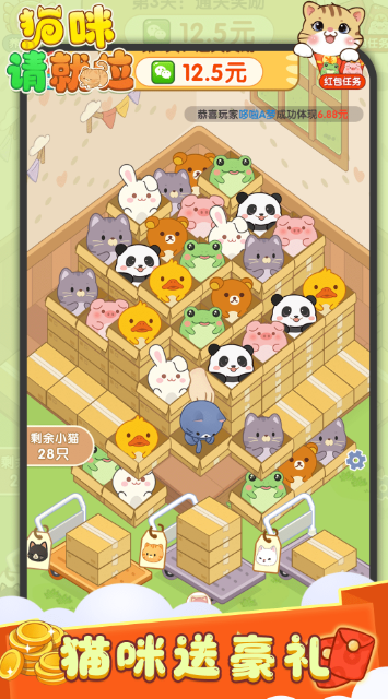 猫咪请就位