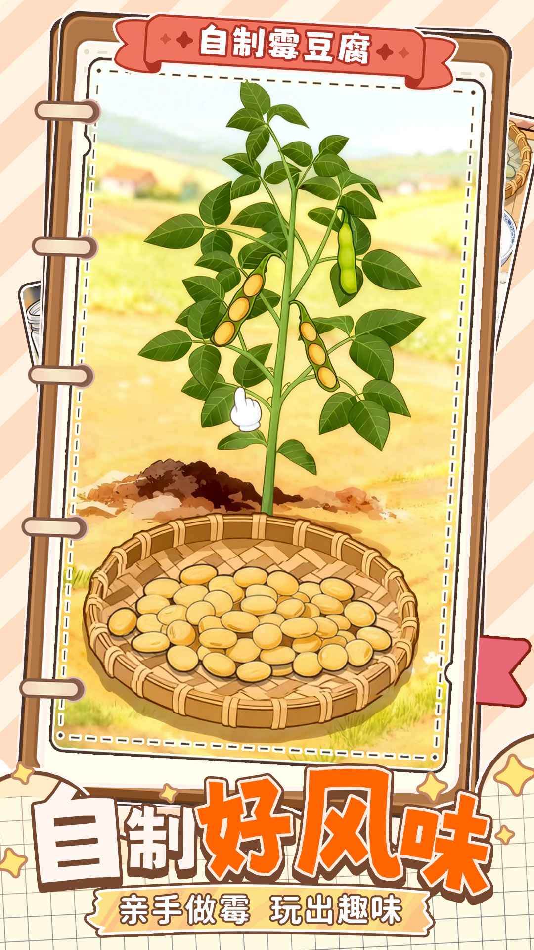 自制霉豆腐