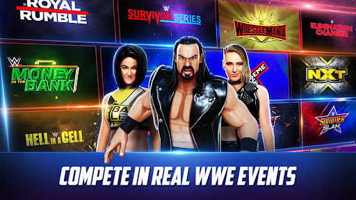 WWE混乱