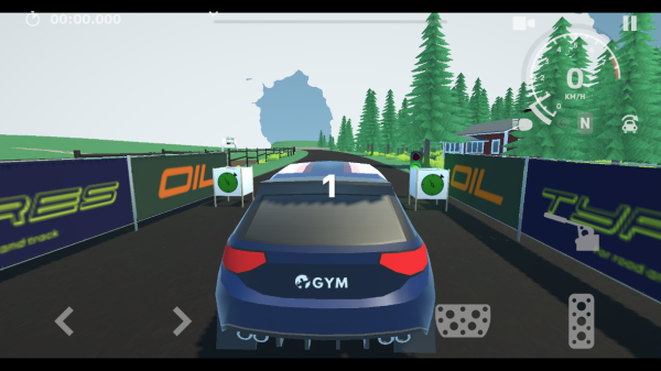 N3Rally
