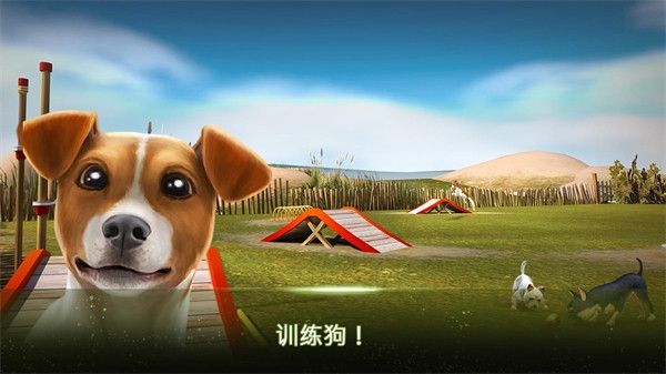 我的寄宿狗屋