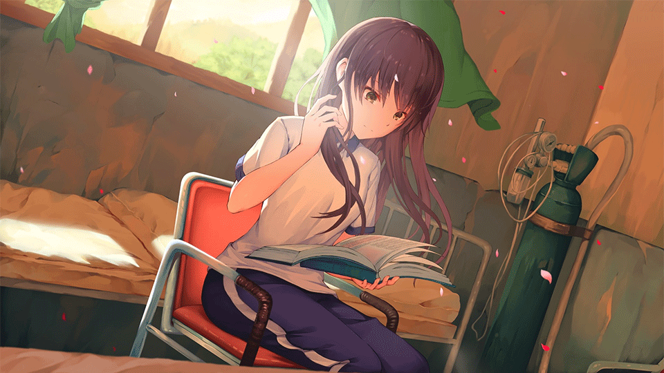 候鸟手机版