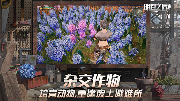云明日之后