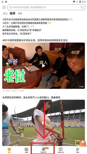 番柿浏览器
