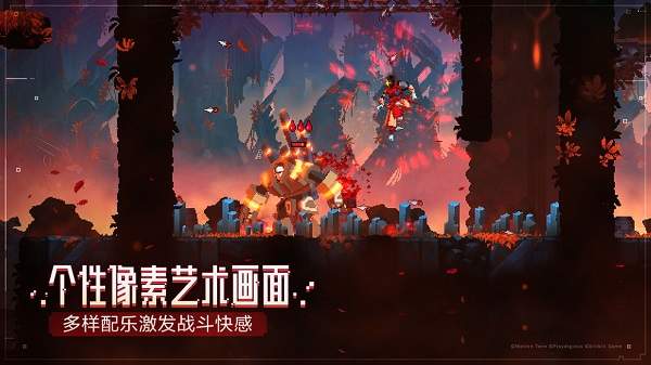 无限细胞