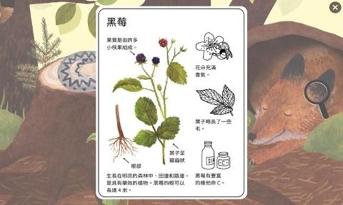 小棕鼠百科