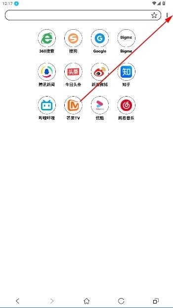 芒果浏览器海外版