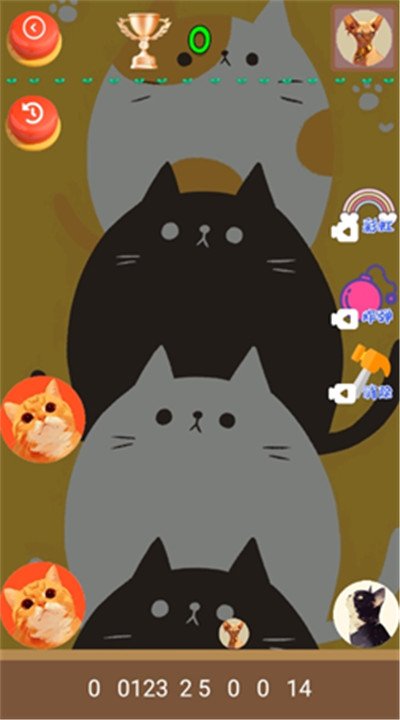 猫咪趣味合成