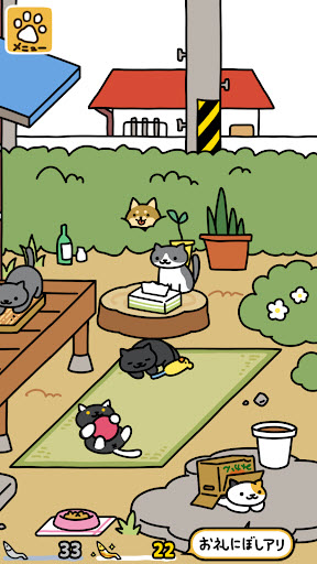 猫咪后院2国际服