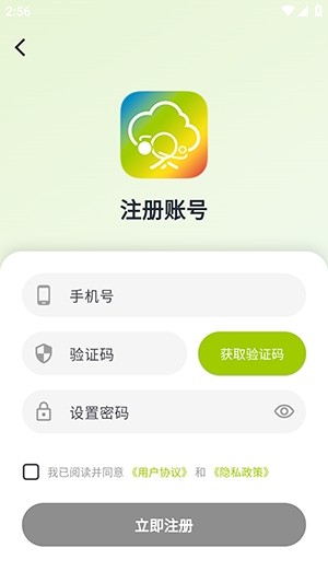 树梦
