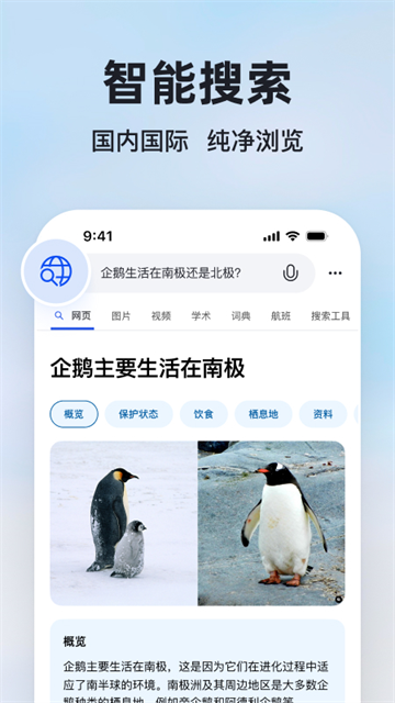 微软Bing