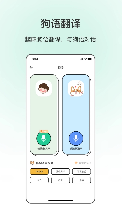 宠物