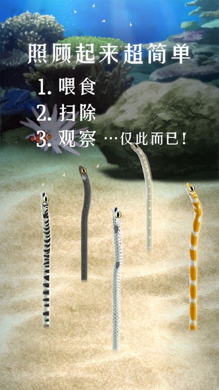 斑鳝花园