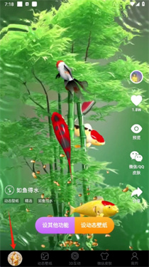 桌面养鱼壁纸