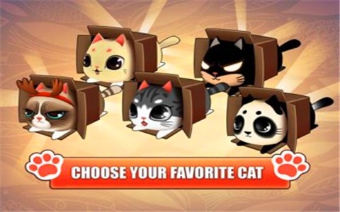 猫小盒