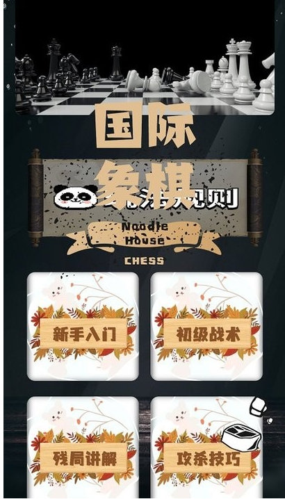国际象棋双人练习