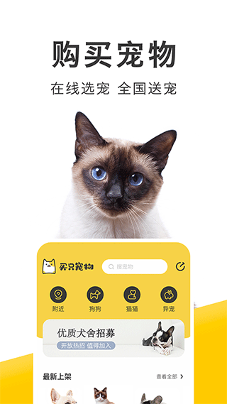 买只宠物平台