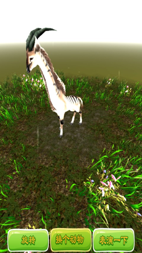 3d野生动物园