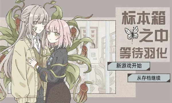 在标本箱中等待羽化