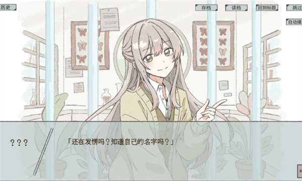 在标本箱中等待羽化