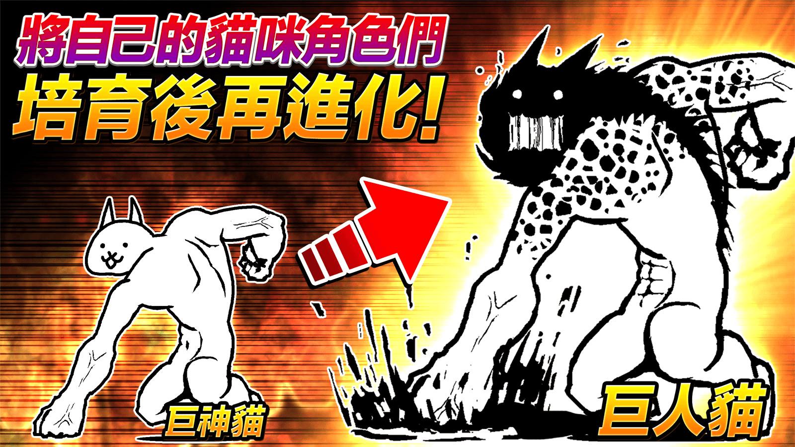 猫猫大战