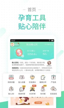 怀孕伴侣
