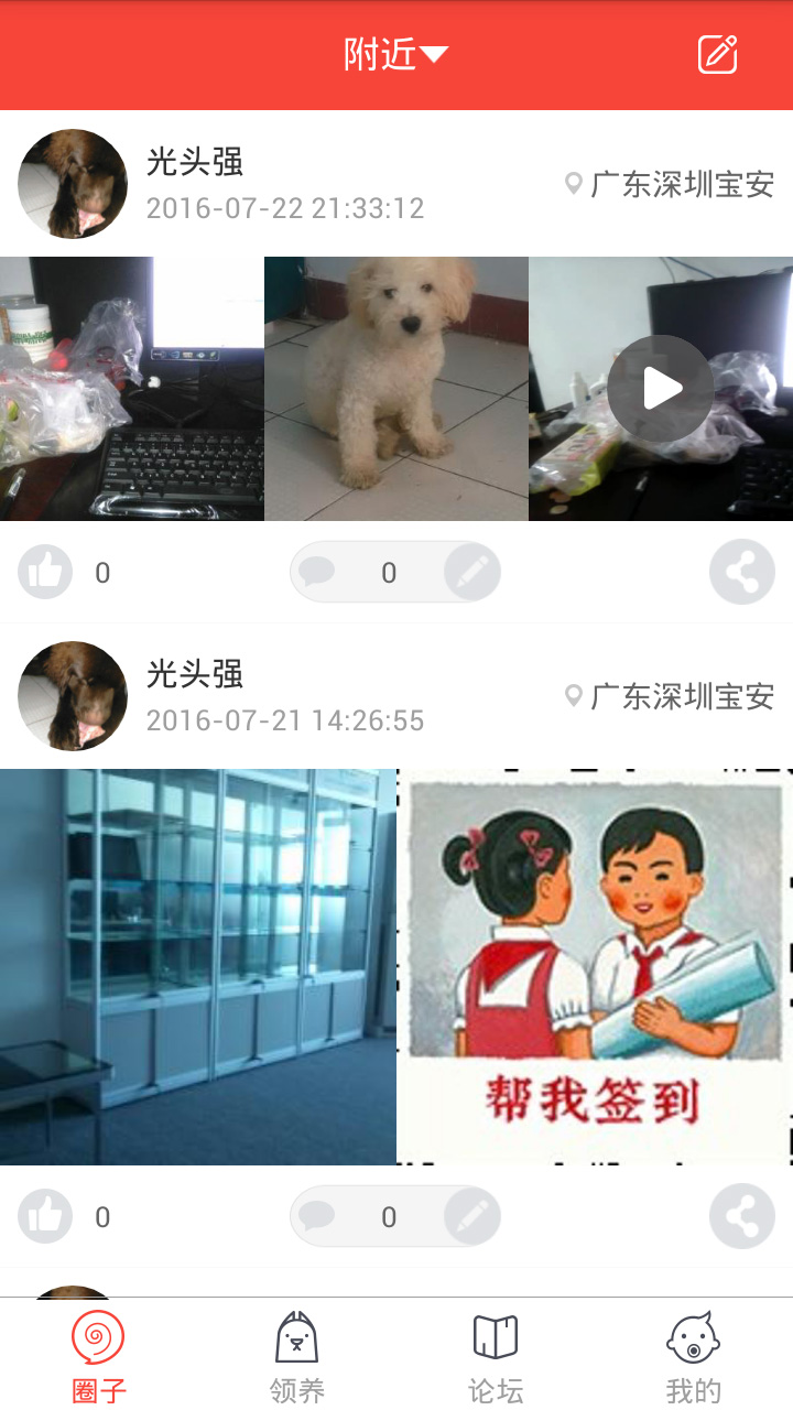 领狗狗
