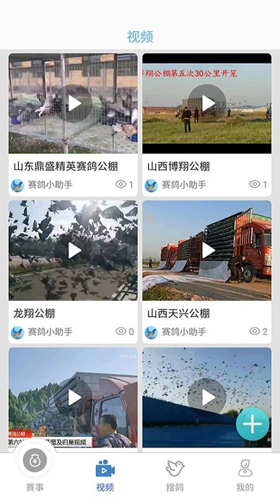 赛鸽助手