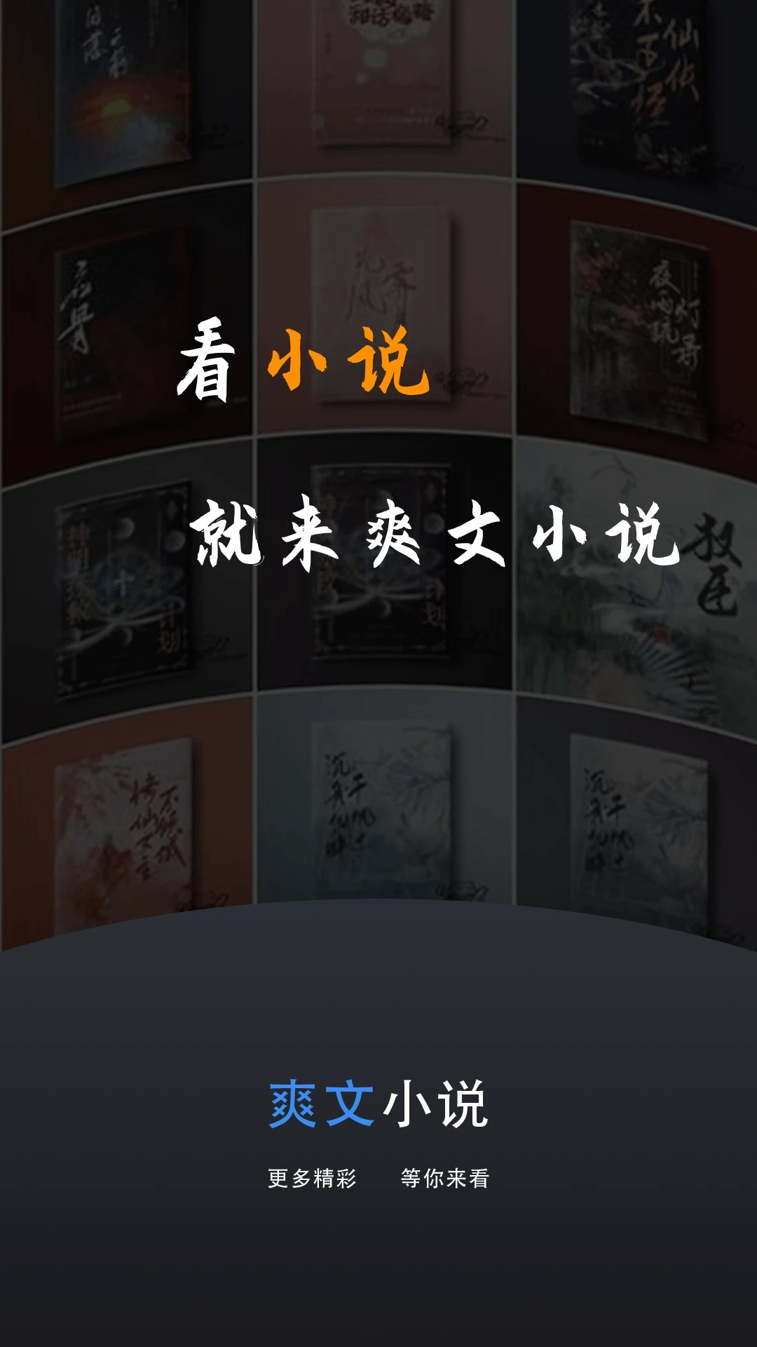 爽文小说阅读器