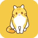 领养一只流浪猫