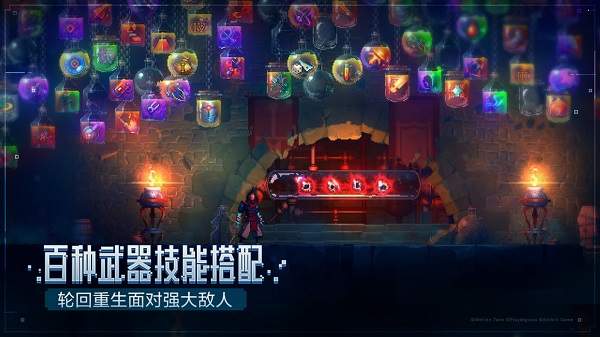 无限细胞