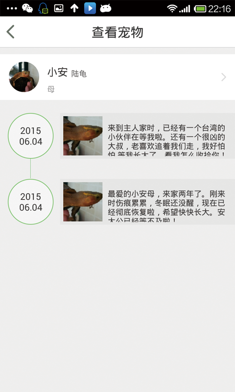 宠龟小筑