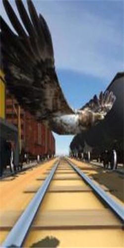 隧道飞行