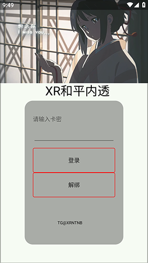 XR和平内透v1