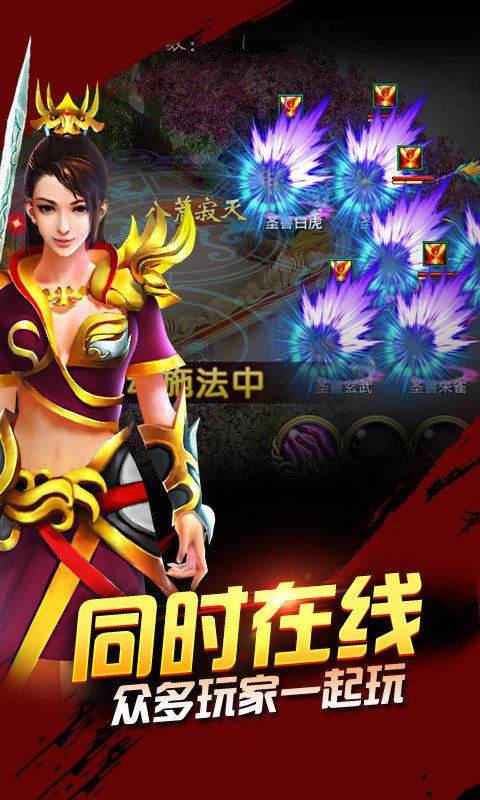 宠物一起上