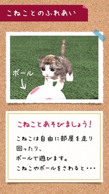 猫养成