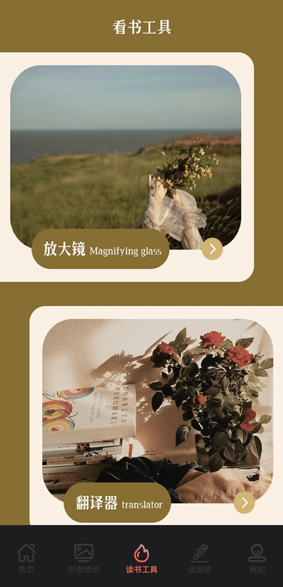 疯情小说阅读器