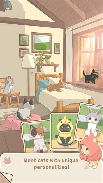 窗外的猫