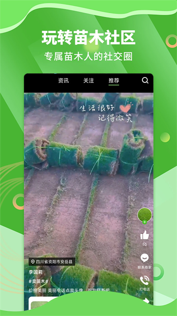 苗木通平台