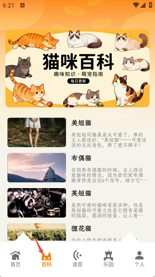 暖暖猫咪