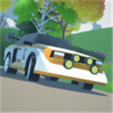 N3Rally