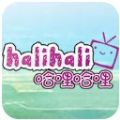 哈哩哈哩app安卓最新版