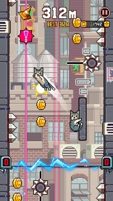 猫咪跳高高
