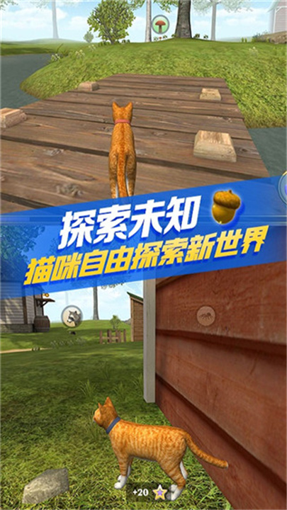 猫咪模拟器