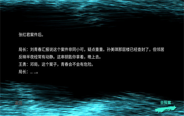 孙美琪疑案王勇