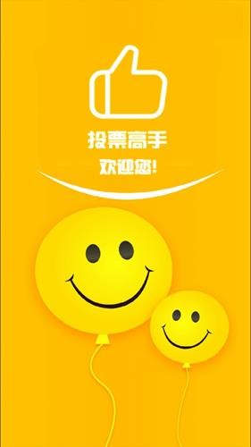 投票高手