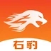 右豹